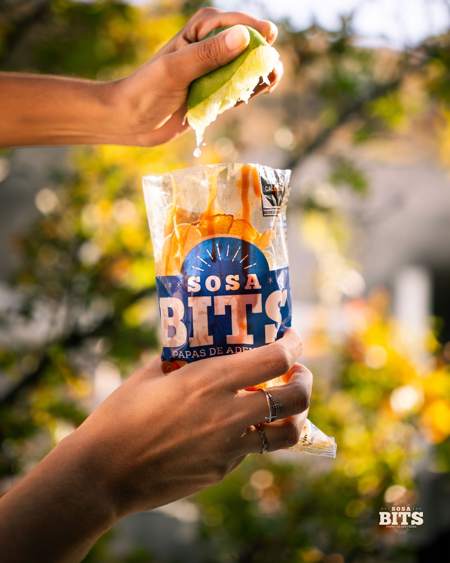 Caja con 10 bolsas de 100 gr. c/u